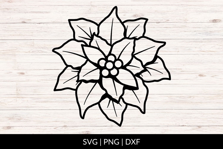 Hand Drawn Poinsettia SVG