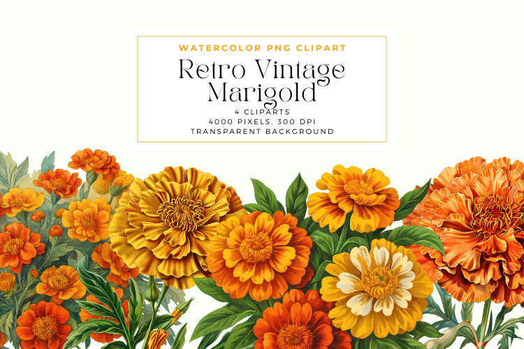 Watercolor Retro Vintage Marigold Cliparts