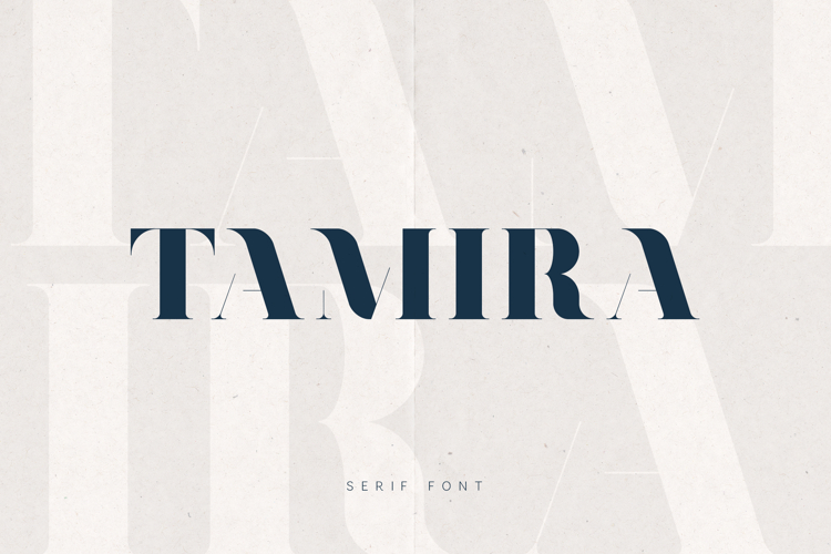 Tamira Modern Serif Elegant High Contrast Display