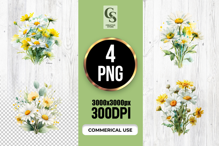 Fresh White   Yellow Daisy Watercolor PNG