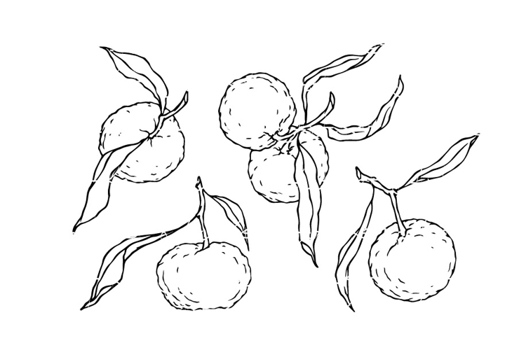 Fruits Doodle Image 20