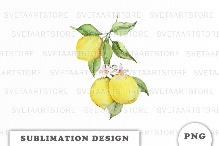 Watercolor Lemons composition png