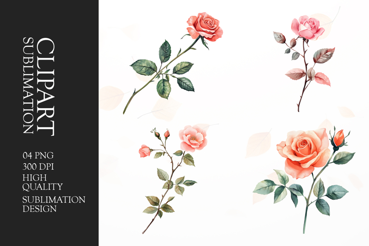 Floral Png Image 12