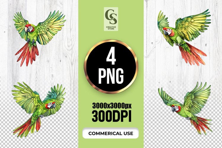 Colorful Parrot Bird Watercolor Clipart Sublimation PNG