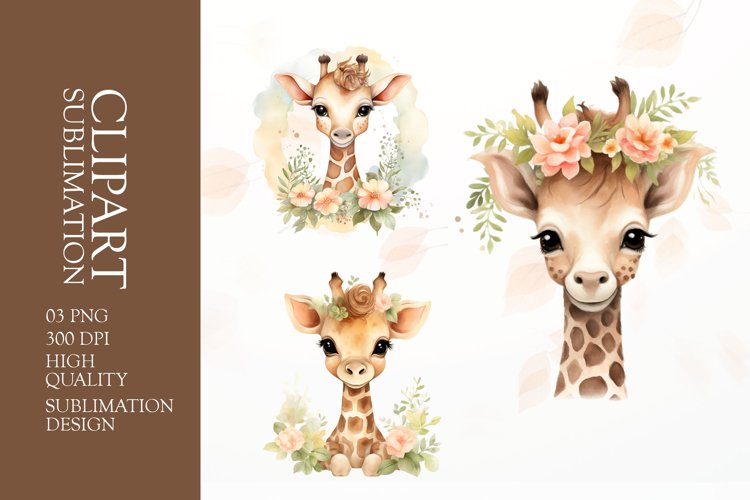 Giraffe Png Image 12