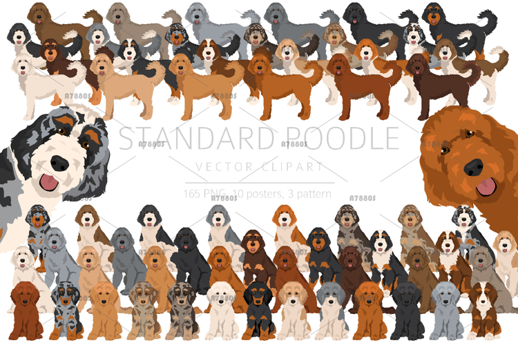 Standard poodle clipart example image 1