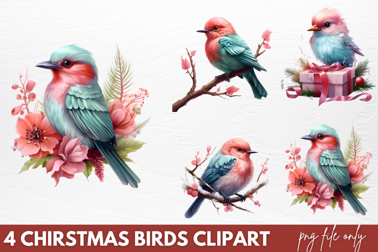 Birds Png Image 6