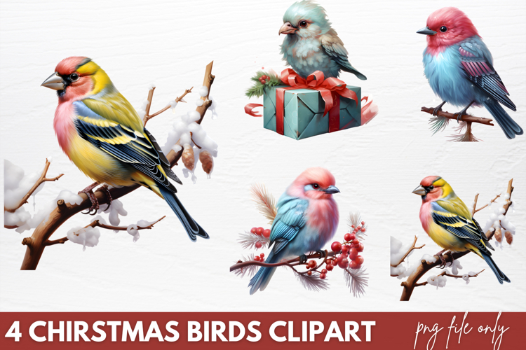 Chirstmas Birds Clipart PNG