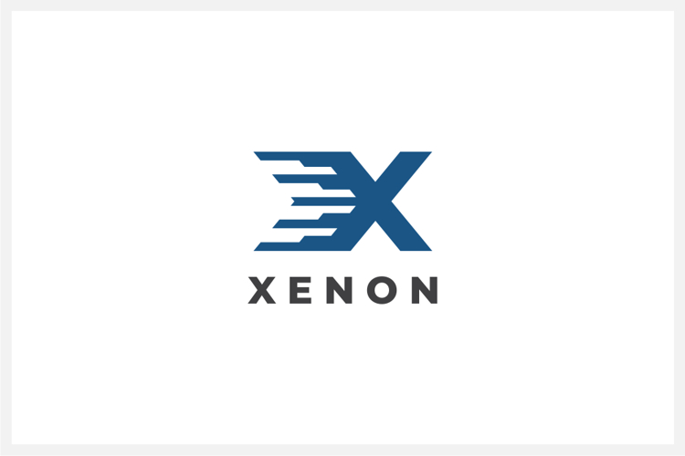 Xenon Letter X Logo Design Vector