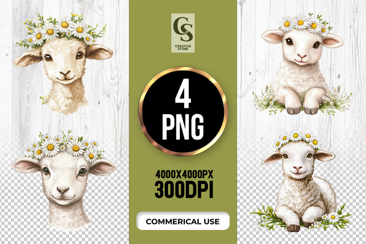 Lamb Illustration Image 16