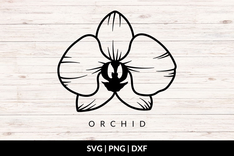 Orchid Blossom SVG