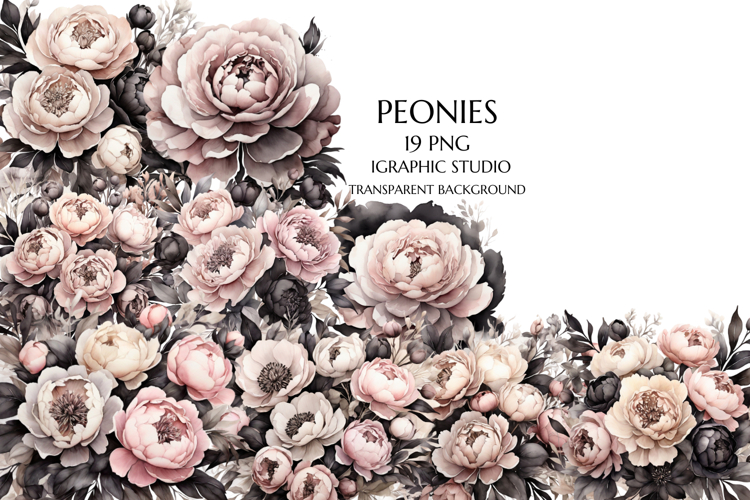 Flowers Png Image 7