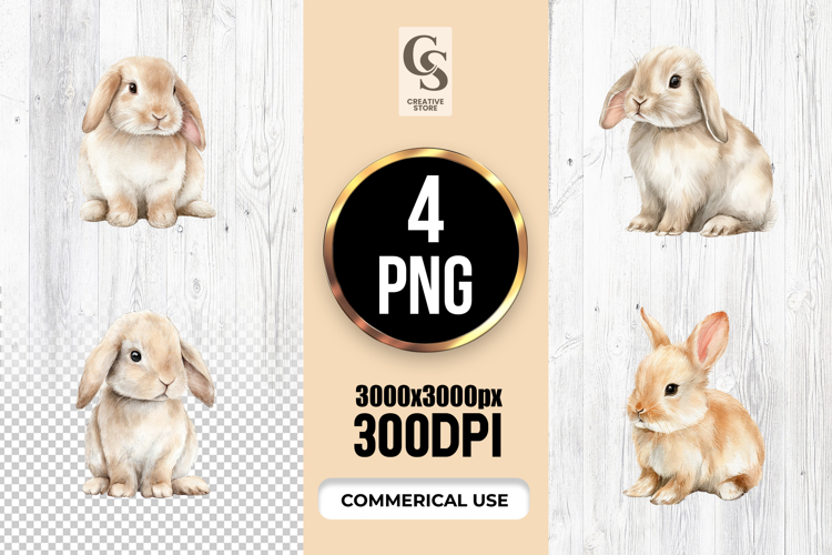 Bunny Png Image 9