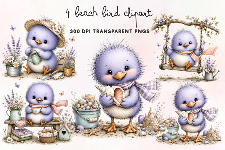 Beach Bird Clipart PNG
