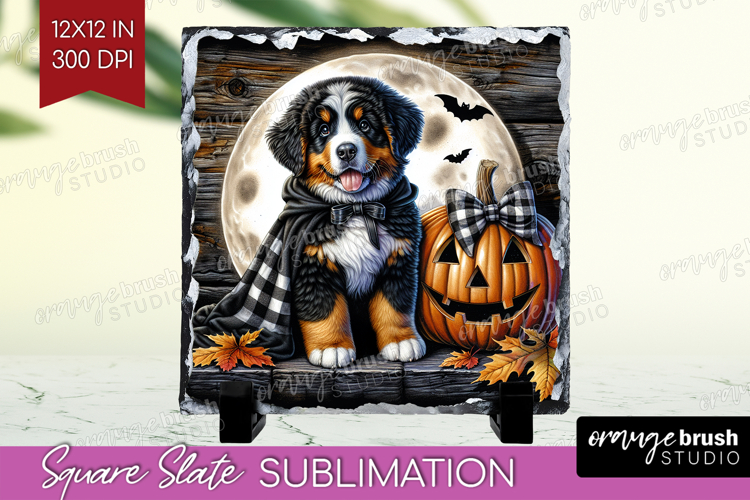 Bernese Mountain Dog Slate PNG Halloween Square Slate