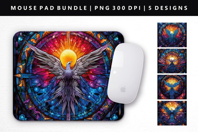 Bird PNG Image 13