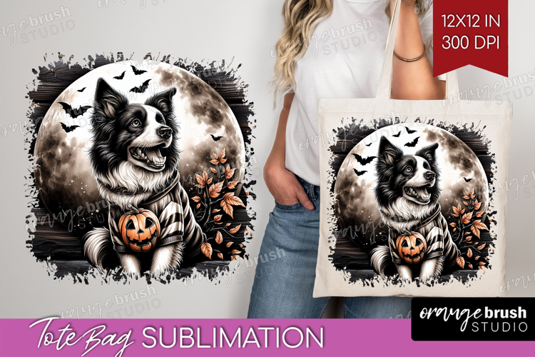 Border Collie Clipart Image 4