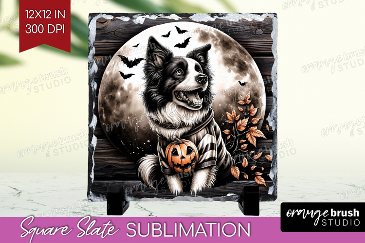 Border Collie Clipart Image 12