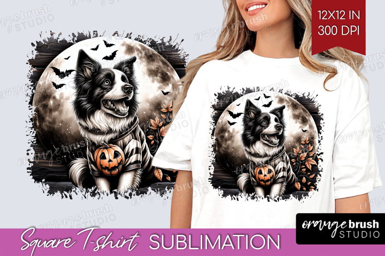 Border Collie Clipart Image 13