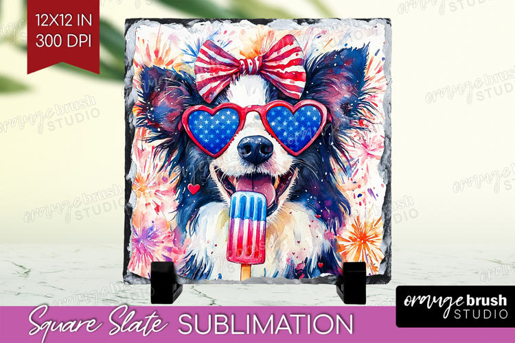 Border Collie Dog Slate PNG 4th Of July Square Slate