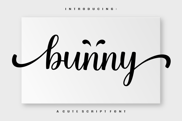 Bunny