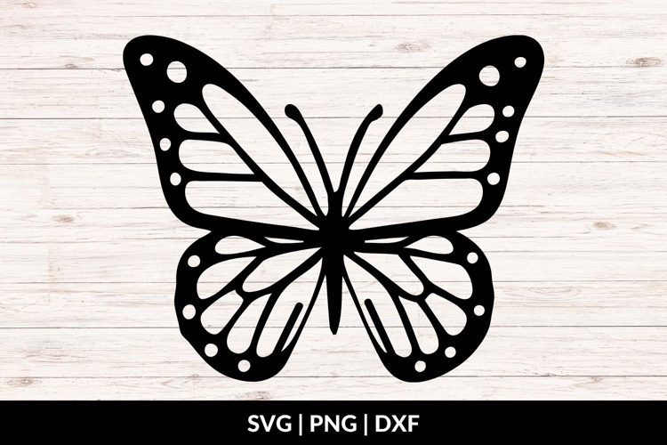 Insect Clipart