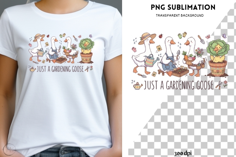 Goose Illustration Image 17