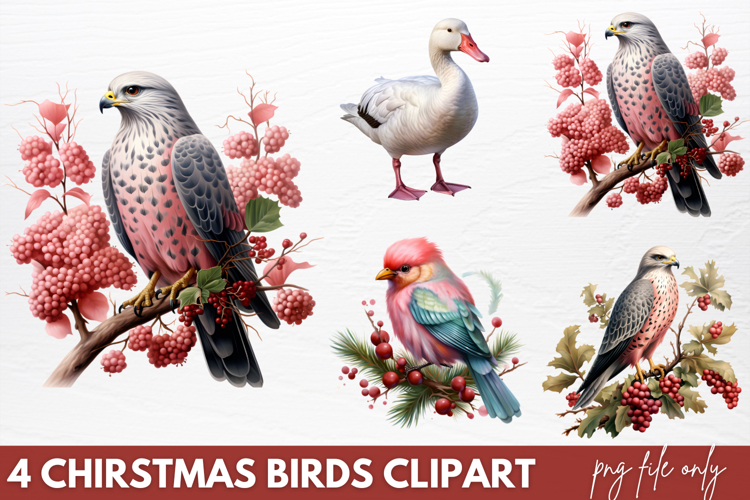 Birds Png Image 5