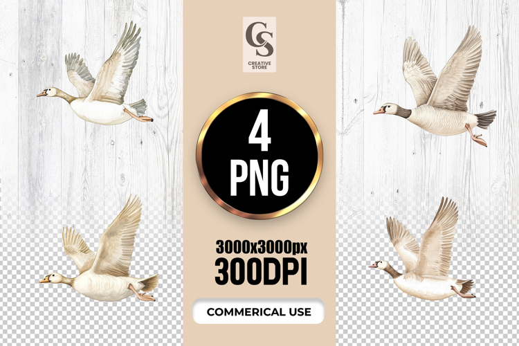 Bird Flying Clipart Image 11