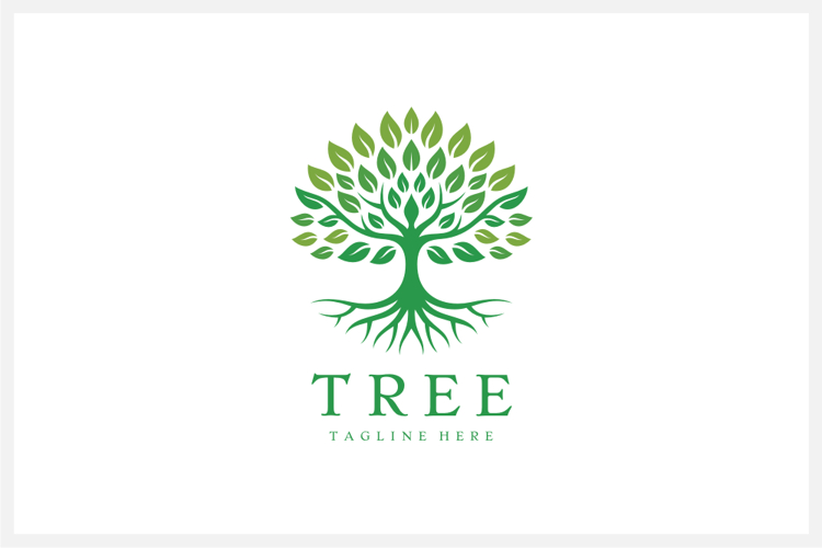 Tree Logo Design Vector Illustration