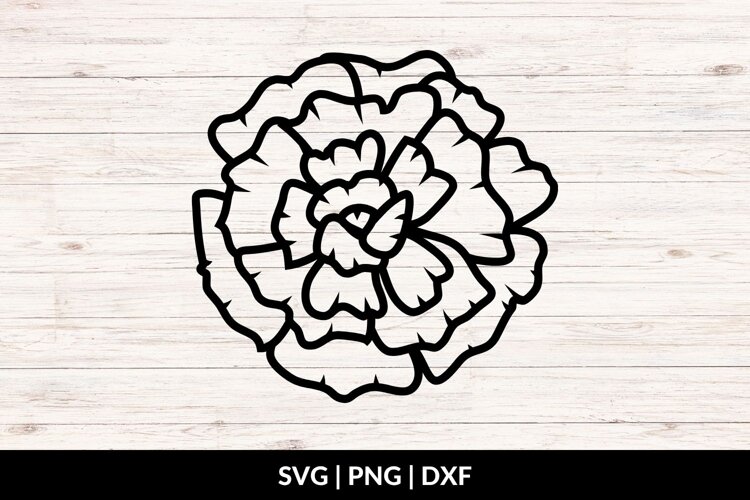 Carnation in Full Bloom SVG, PNG, DXF example image 1