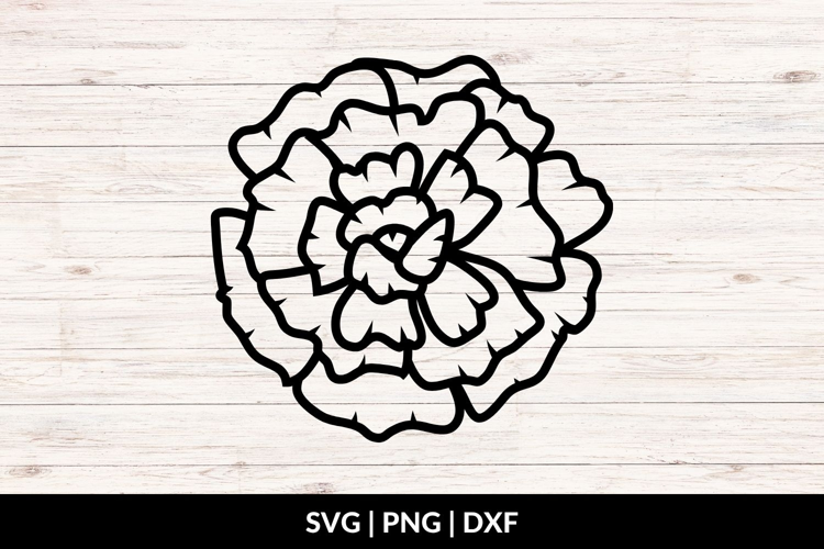 Carnation in Full Bloom SVG, PNG, DXF