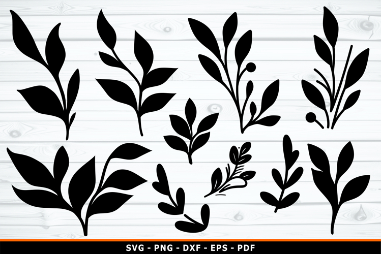 Leaves SVG Designs, Branches SVG, Leaf Silhouette SVG
