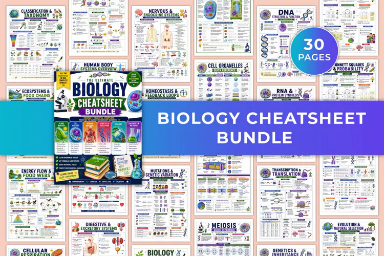 Biology Cheatsheet Kdp interiors
