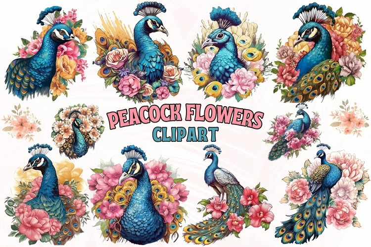 Peacock Clipart Image 17