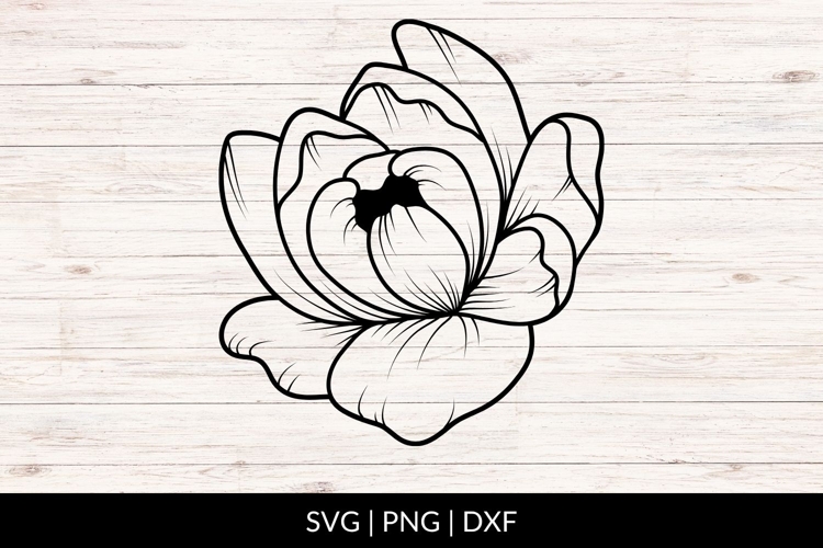 Hand Drawn Botanical Peony SVG