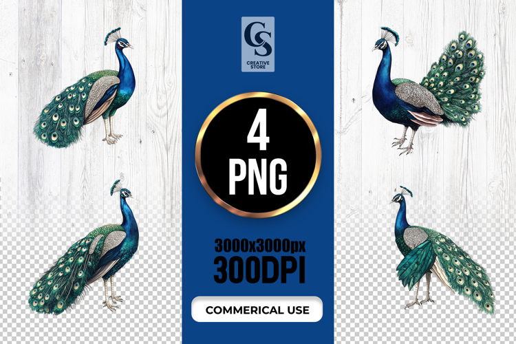 Bird Clipart Image 8