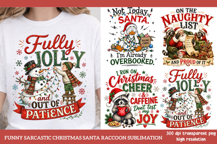 Funny Sarcastic Christmas Santa Raccoon Sublimation PNG example image 1