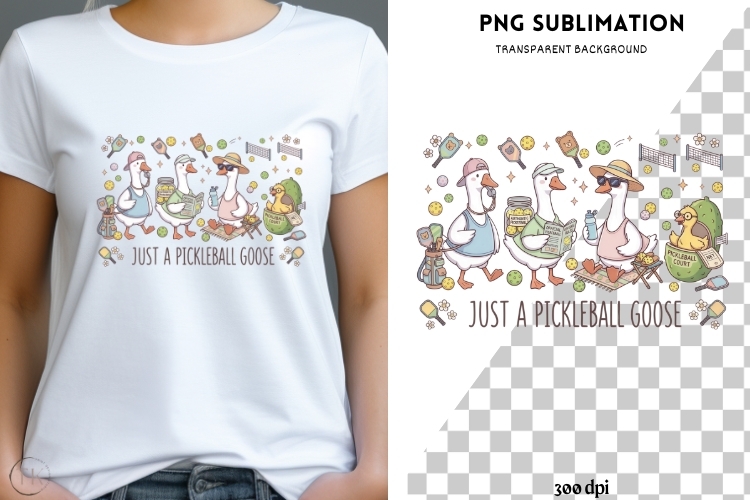 Goose Illustration Image 15