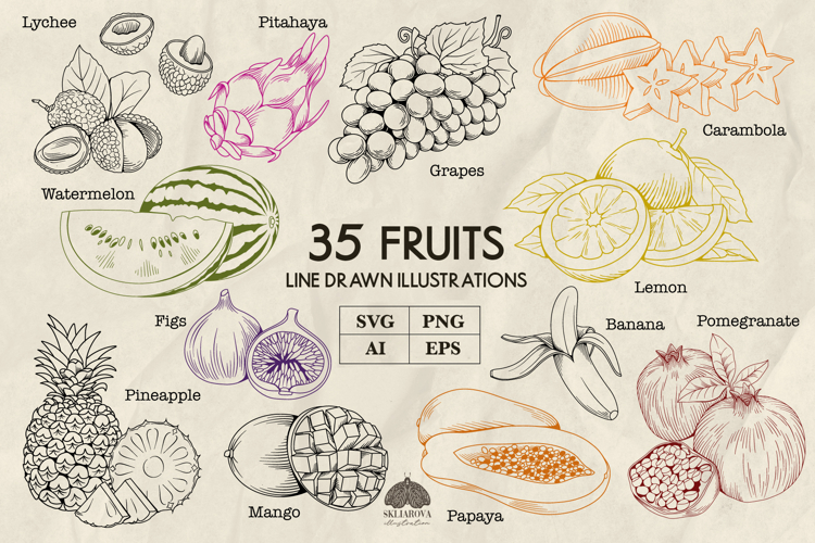 Fruits Line Art Illustrations SVG PNG EPS Ai