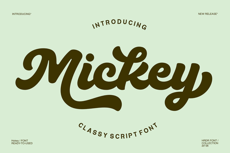 Mickey - Classy Script Font example image 1
