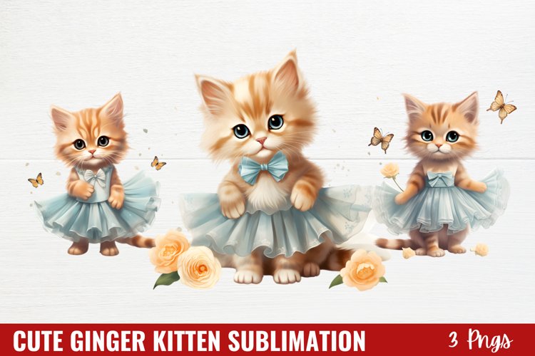 Kitten Png Image 17