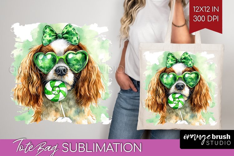St Patrick's Day PNG Image 19