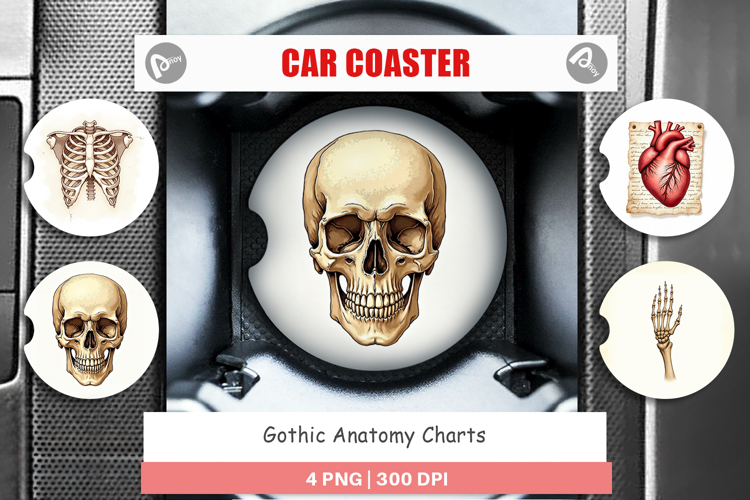 Gothic Anatomy Car Coaster