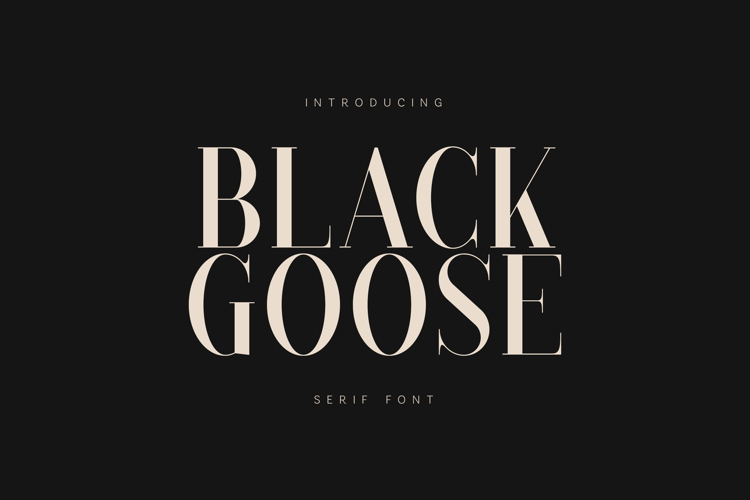 Black Goose Elegant Modern Serif