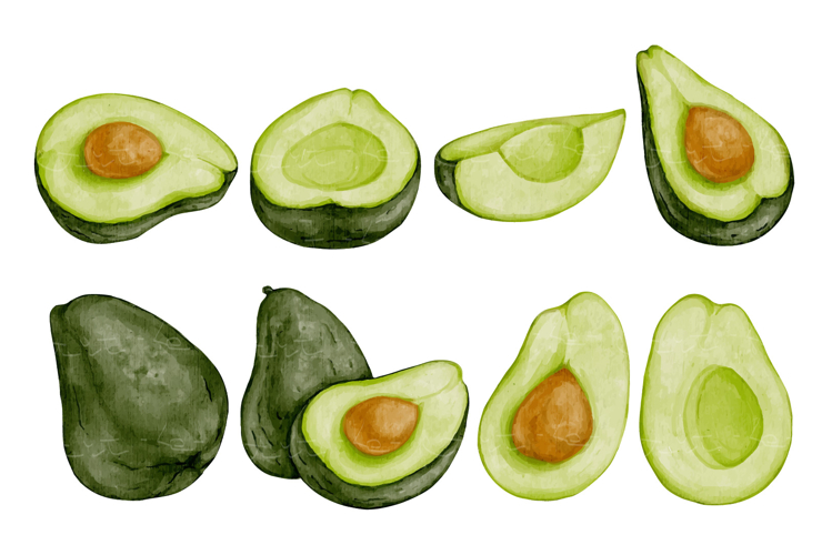 A set of ripe avocados. For creating colorful designs.
