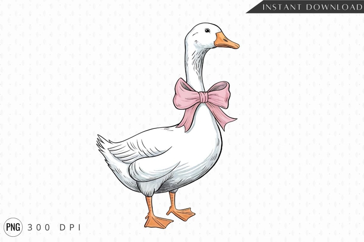 Duck Png Image 2