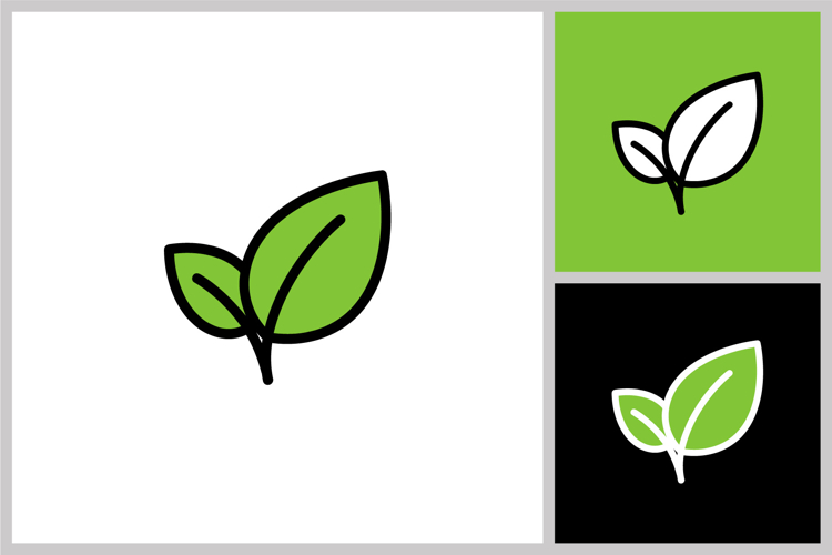 leaf nature vector design template