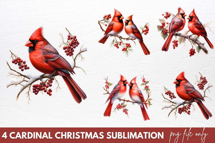 Cardinal Clipart Image 13