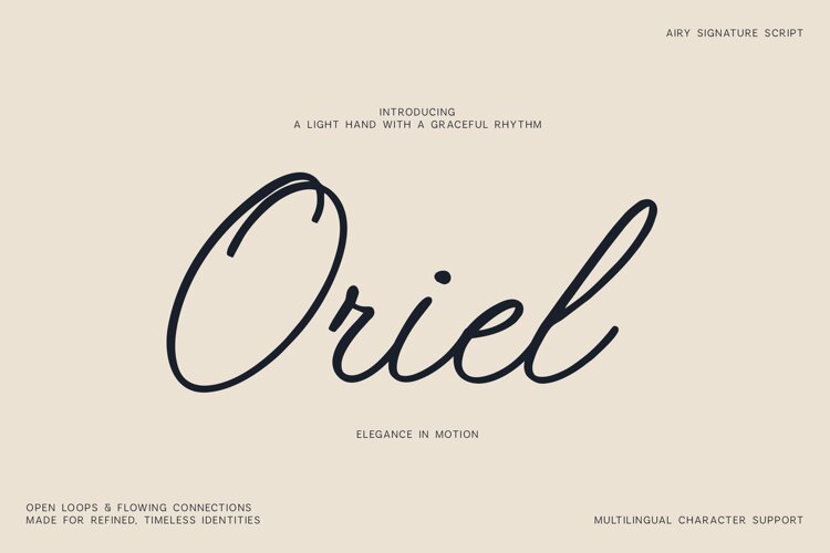 Oriel Airy Signature Script Font example image 1